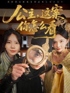 公主，這案你怎么看